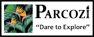 Parcozi - Webpage Footer tag